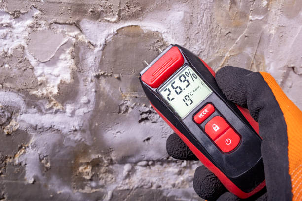 Best Home Mold Removal  in Sherrill, NY