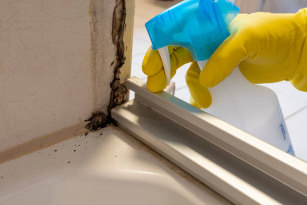Best Mold Testing  in Sherrill, NY