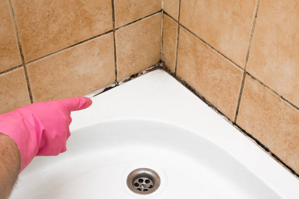 Best Emergency Mold Removal  in Sherrill, NY